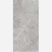 Arctic Tundra Grey Matt 60x120 gallery detail image