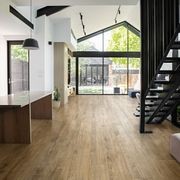 Ossimori Series Timber Look Porcelain Tiles gallery detail image