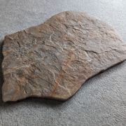 Strata Porcelain Crazy Paving - Four Colours gallery detail image