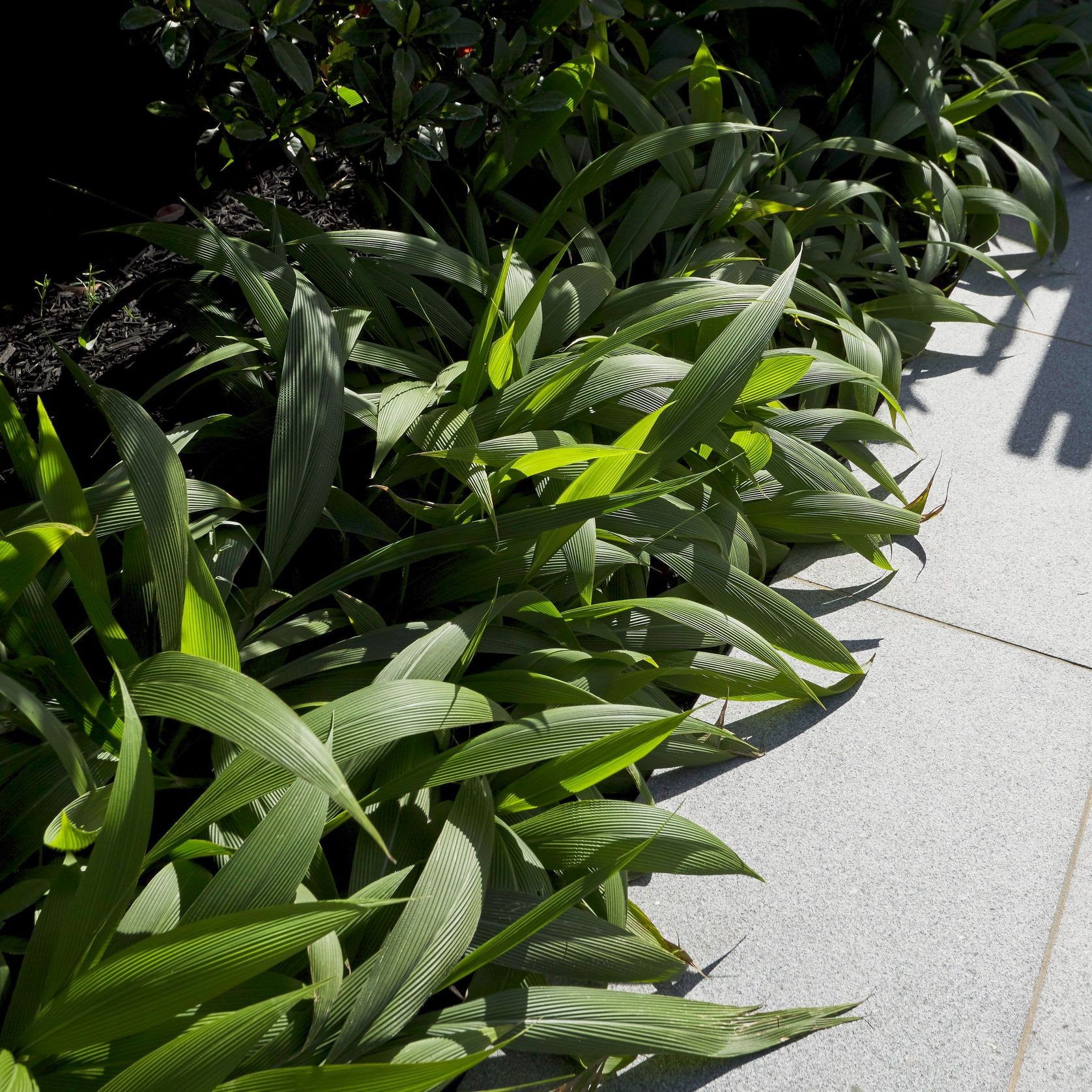 Tasman Grey Granite gallery detail image