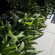 Tasman Grey Granite gallery detail image