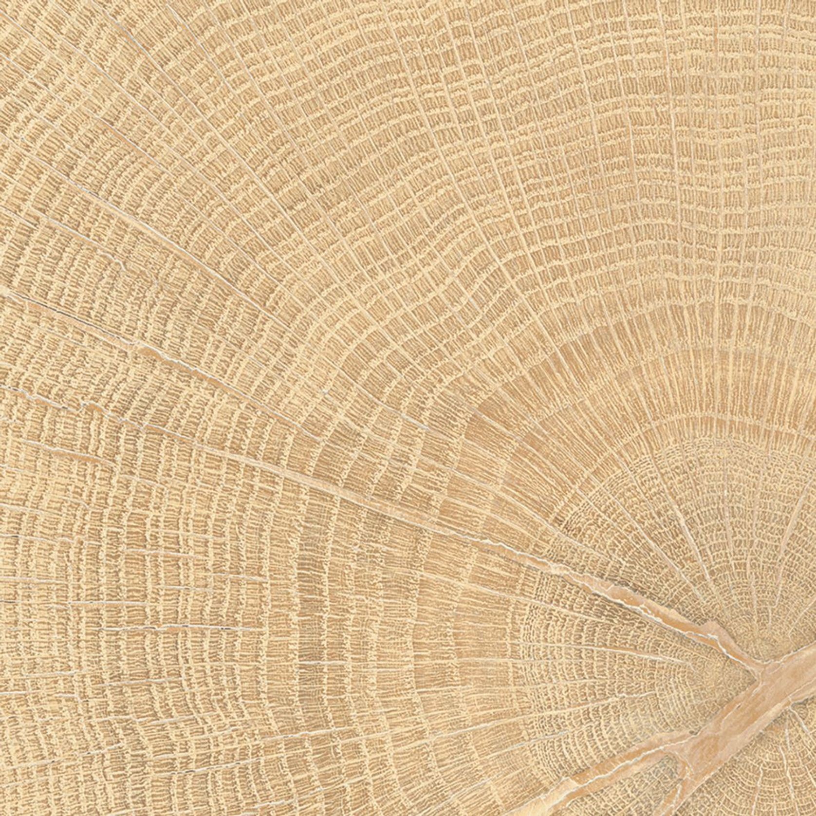W-Circles | Floor & Wall Tile gallery detail image