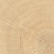 W-Circles | Floor & Wall Tile gallery detail image