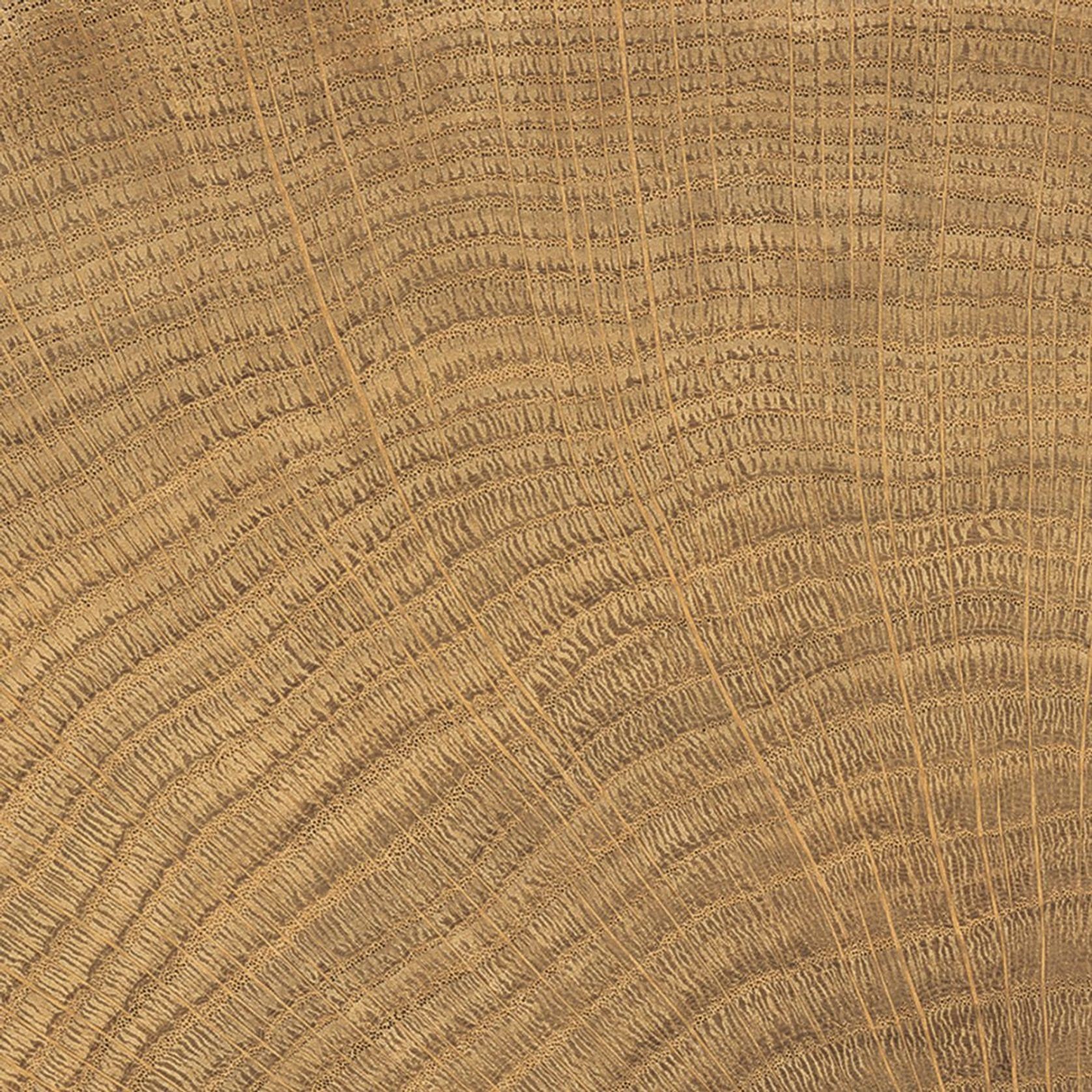 W-Circles | Floor & Wall Tile gallery detail image