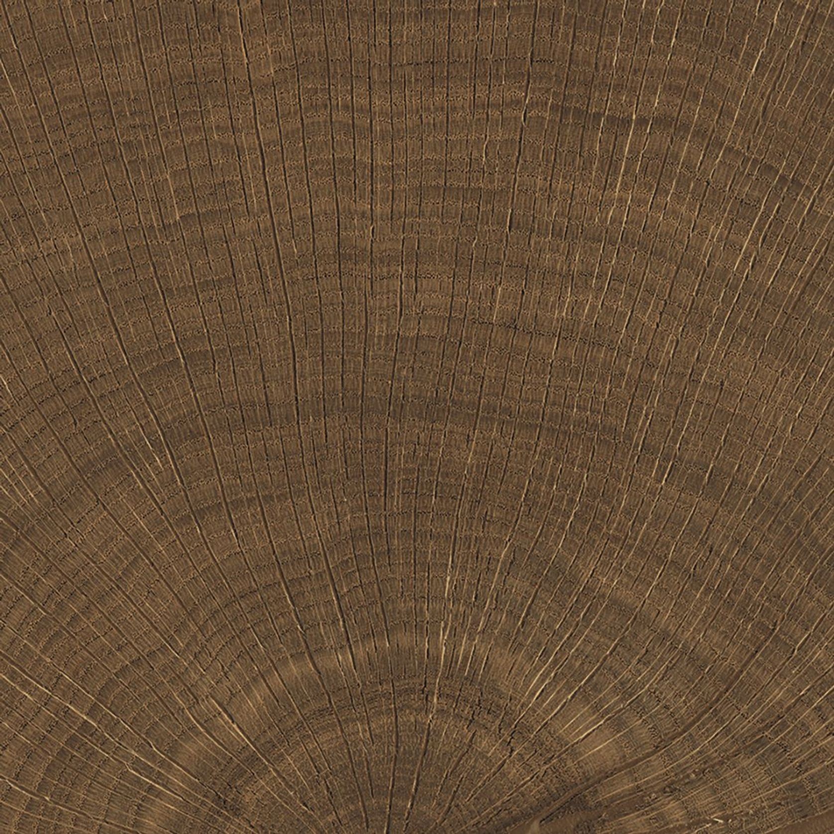 W-Circles | Floor & Wall Tile gallery detail image