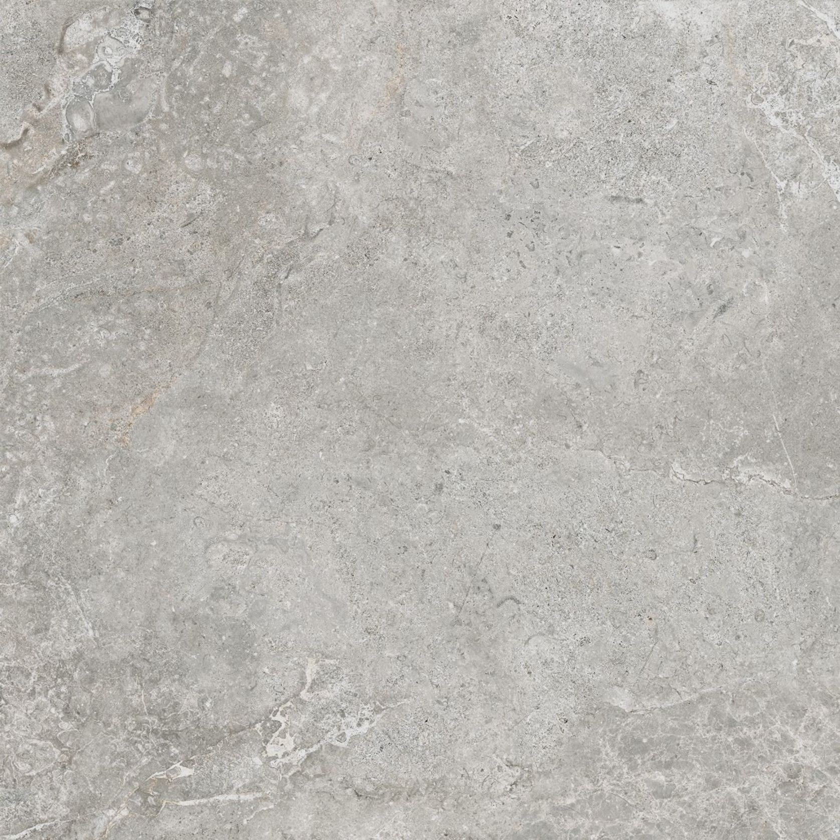 Arctic Tundra Grey Matt 60 gallery detail image