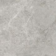 Arctic Tundra Grey Matt 60 gallery detail image