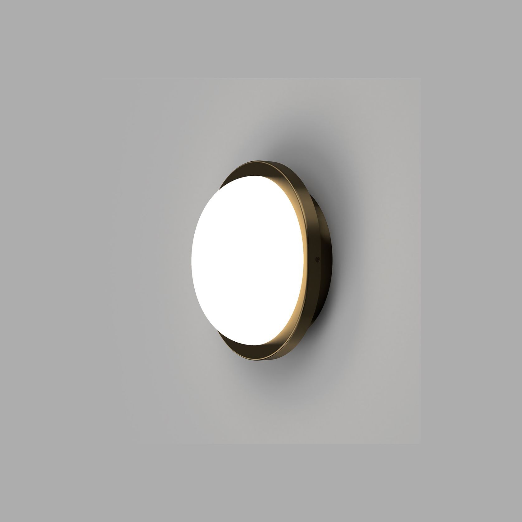 Bode Round Wall/Ceiling Light gallery detail image