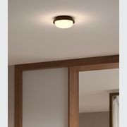 Bode Round Wall/Ceiling Light gallery detail image