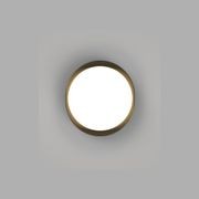 Bode Round Wall/Ceiling Light gallery detail image