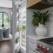 Sub-Zero Designer Series All Refrigerator Column gallery detail image