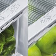 F&P Freestanding French Door Refrigerator Freezer, 569L gallery detail image