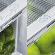 F&P Freestanding French Door Refrigerator Freezer, 569L gallery detail image