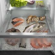 IRBh 5170 'Peak' BioFresh Pro | Fully Integrated Fridge gallery detail image