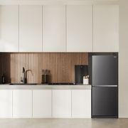 HS Bottom Mount Fridge gallery detail image