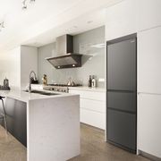 CX Classic Designer Two Drawer Fridge gallery detail image