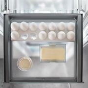 IRBPh 5170 'Peak' BioFresh | Fully Integrated Fridge gallery detail image