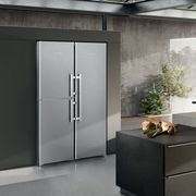 SBSes 8474 Premium BioFresh NoFrost | Side-by-Side Combination gallery detail image