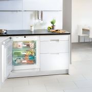 SUIG 1514 Comfort | Fully Integrated Underbench Freezer gallery detail image