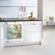 SUIG 1514 Comfort | Fully Integrated Underbench Freezer gallery detail image