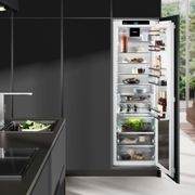 IRBh 5170 'Peak' BioFresh Pro | Fully Integrated Fridge gallery detail image