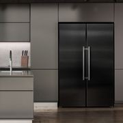 XRFbsh 5265 Prime BioFresh Pro | SxSide combination gallery detail image