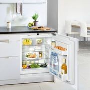 SUIK 1510 Comfort | Fully Integrated Underbench Fridge gallery detail image