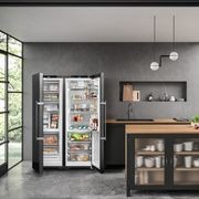 XRFbsh 5265 Prime BioFresh Pro | SxSide combination gallery detail image