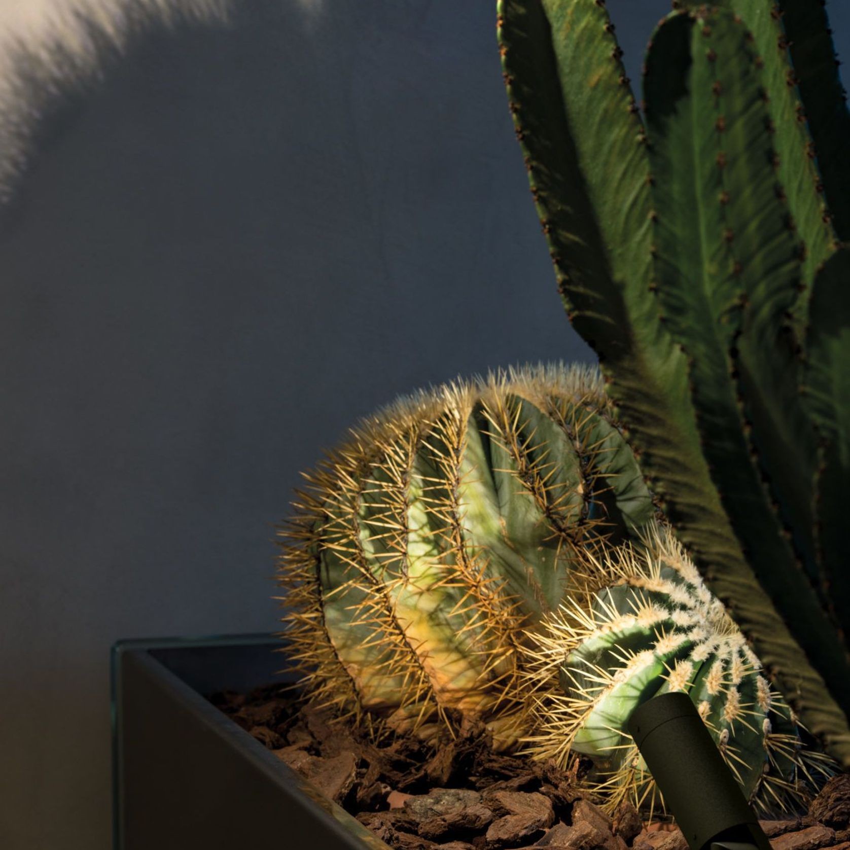 Jupiter Pro Projecter Light gallery detail image