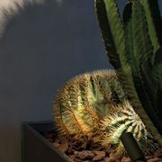 Jupiter Pro Projecter Light gallery detail image