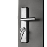 Innosteel D Cabinet Shed | DTGS-ISPC43-FD-AKL gallery detail image