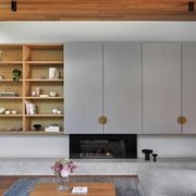 Escea DS1150 High Output Frameless Gas Fireplace gallery detail image