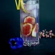 Riedel Bar DSG gallery detail image