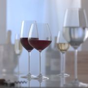 Fortissimo Stemware gallery detail image