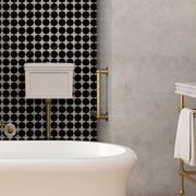 Hawthorn Hill Grab Accessibility Rails gallery detail image