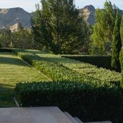 Golden Sands Granite gallery detail image