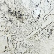 Alpinus White Granite | Natural Stone gallery detail image