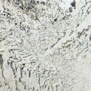 Alpinus White Granite | Natural Stone gallery detail image