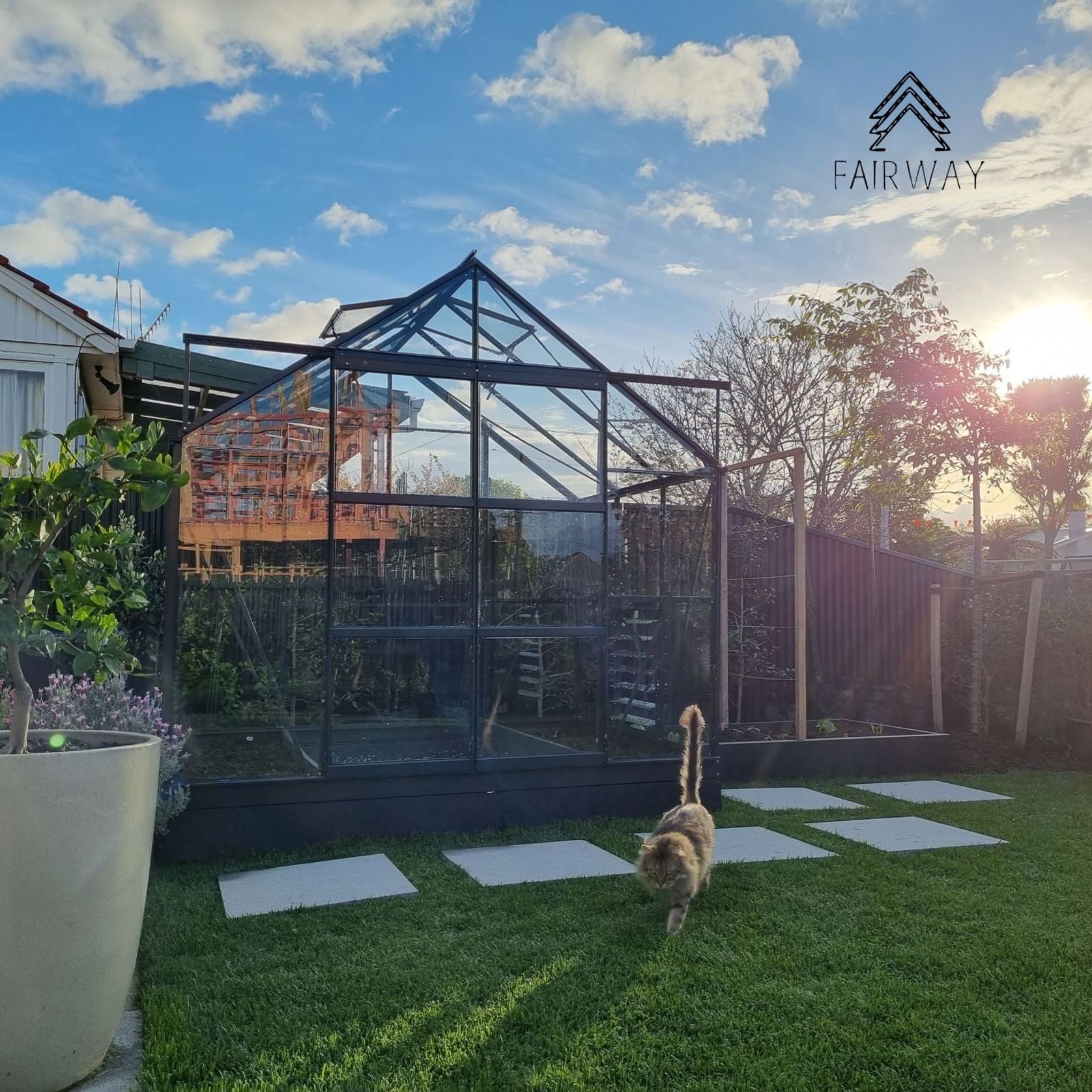 Glasshouse 4mm toughened glass | FW-HX0808 gallery detail image