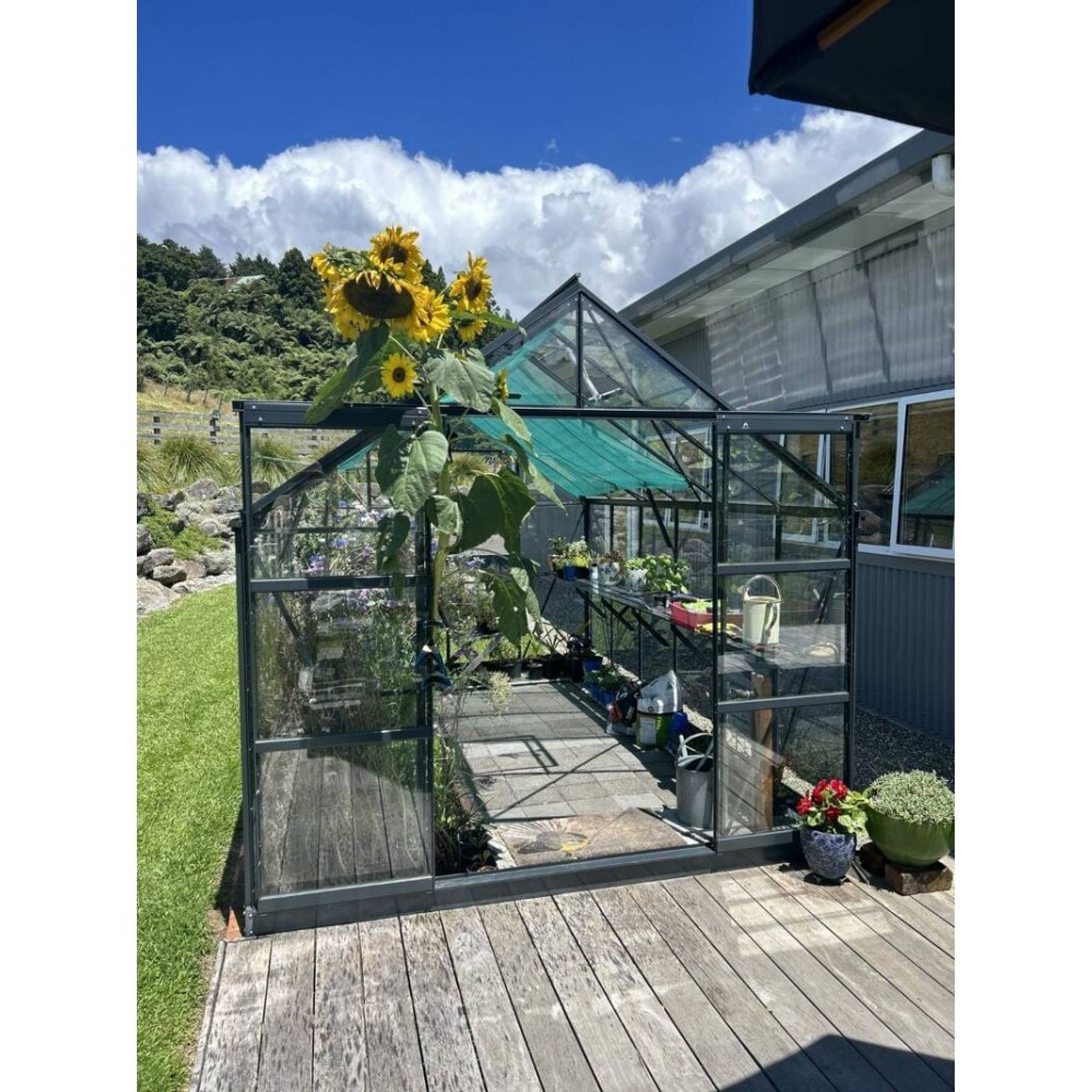 Glasshouse 4mm Tempered Glass | FW-HX0810 gallery detail image