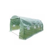 Strong Tunnel Greenhouse Galvanised Frame | 4.5m gallery detail image