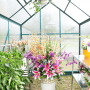 Ultimate Greenhouse 6mm Twin Wall 2400 x 2200mm gallery detail image