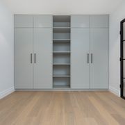 Steel Frame Glass Hinge Doors  - Galvanised FPS50 gallery detail image
