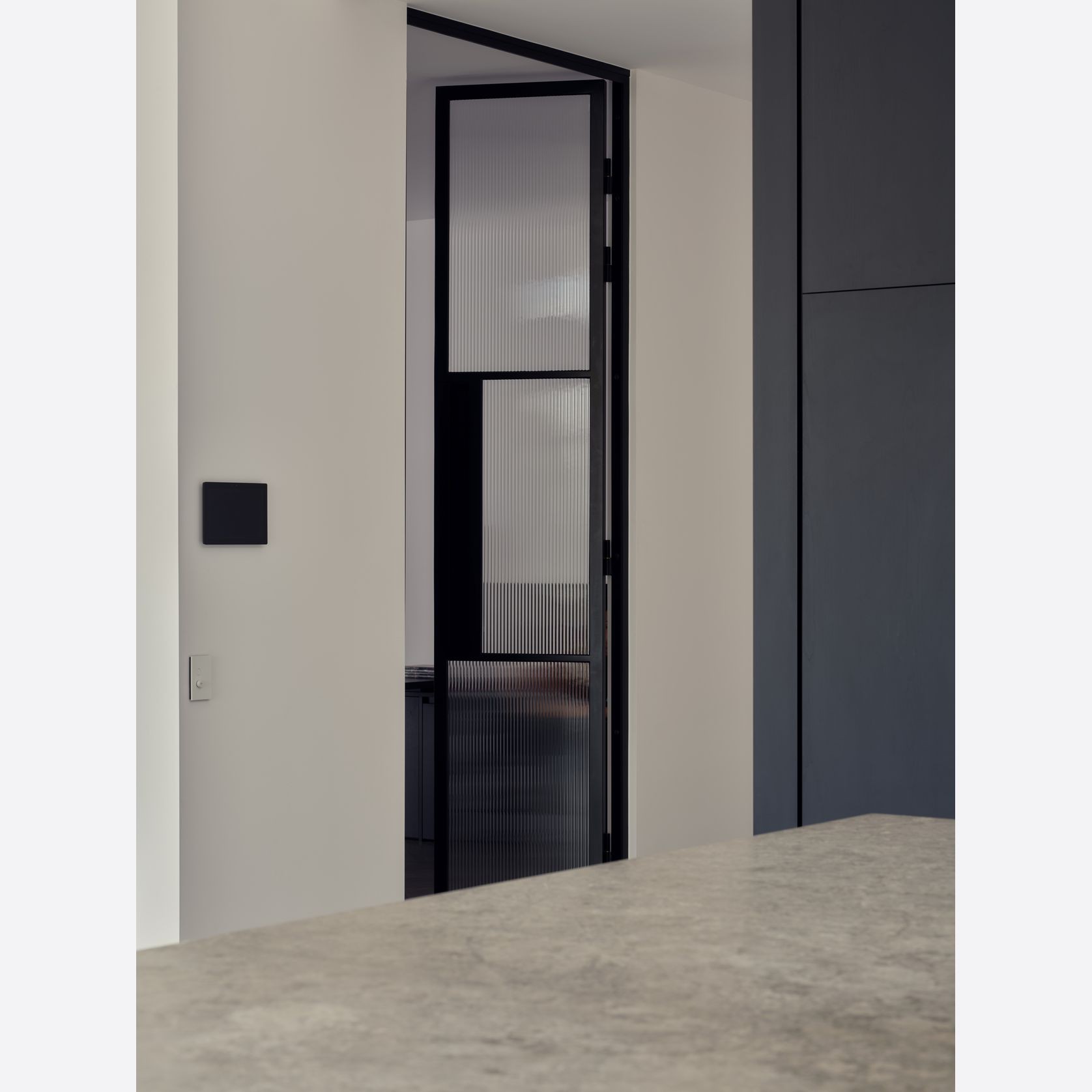Steel Frame Glass Hinge Doors  - Galvanised FPS50 gallery detail image