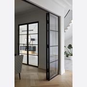 Steel Frame Glass Hinge Doors  - Galvanised FPS50 gallery detail image