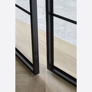 Steel Frame Glass Hinge Doors  - Galvanised FPS50 gallery detail image