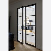 Steel Frame Glass Hinge Doors  - Galvanised FPS50 gallery detail image