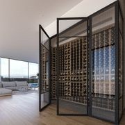 Steel Frame Glass Hinge Doors - Galvanised FPS50 gallery detail image