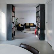 FritsJurgens Pivot Door Systems gallery detail image