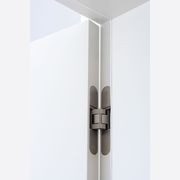 Tectus Concealed gallery detail image